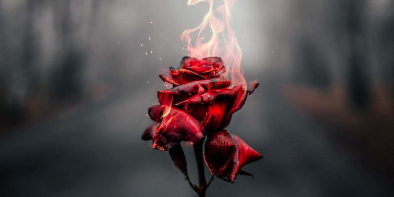 La Belleza - Jorge Carvajal y Susana Tamayo