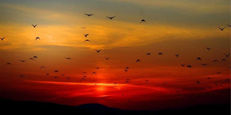 como-liberarse-de-los-apegos-jorge-carvajal