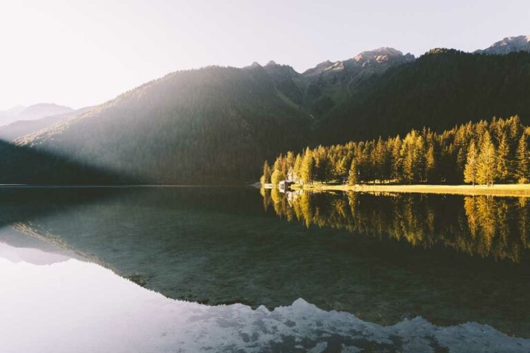 meditacion_para_renacer_jorge_carvajal