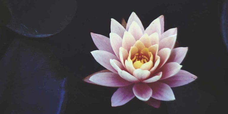 vivir_con_el_alma_jorge_carvajal