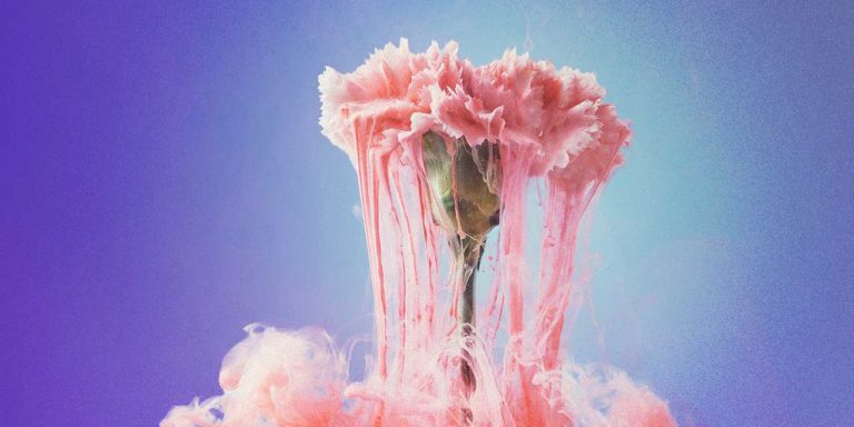 Corrupción Pandemia Jorge Carvajal