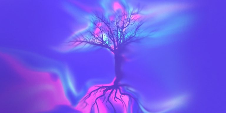 camino_de_la_sabiduria