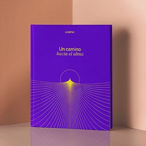 Un Camino Hacia el Alma