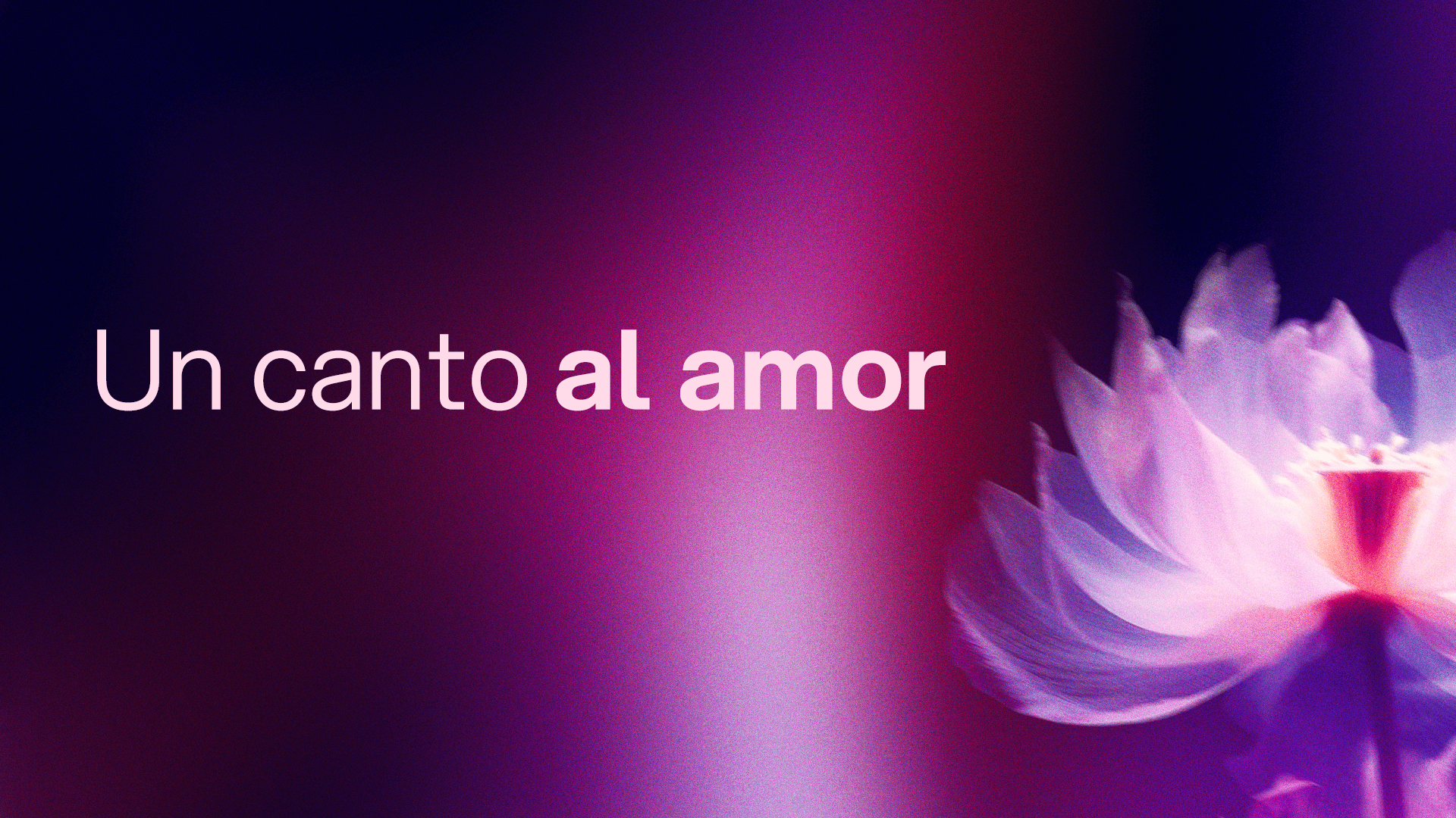Portada 02